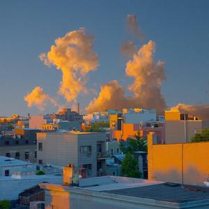 美女免费视频网站
